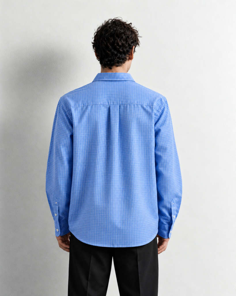 back view in blue gingham
